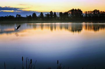 Fototapeta premium The morning landscape with sunrise over water in the fog