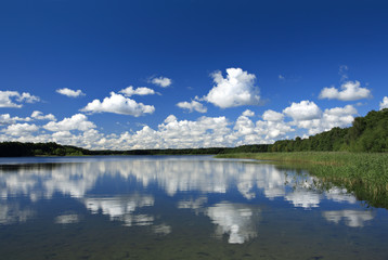 Lake amongst the Woods, Cumulus Clouds Reflecting in Water