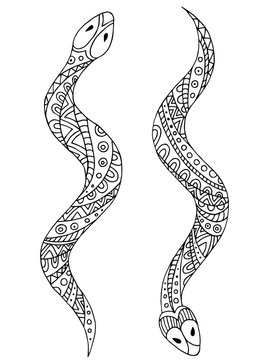 Snake animal graphic black white isolated illustration vector