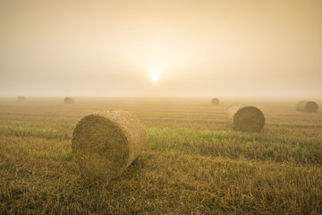 Wschód słońca w mglisty poranek nad polem po żniwach,snopki słomy na ściernisku © Mike Mareen