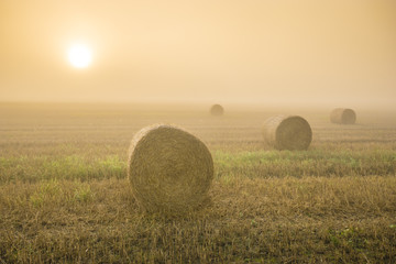 Wschód słońca w mglisty poranek nad polem po żniwach,snopki słomy na ściernisku © Mike Mareen