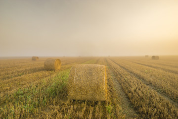 Wschód słońca w mglisty poranek nad polem po żniwach,snopki słomy na ściernisku © Mike Mareen