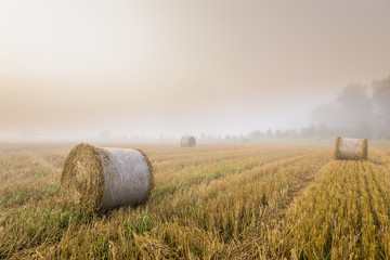 Mglisty poranek nad polem po żniwach