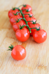 Tomato