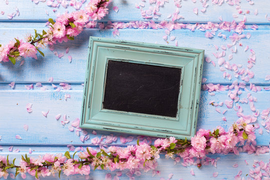 Pink flowers  and empty blackboard on blue wooden planks.