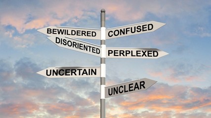Confusion signpost  © Riko Best