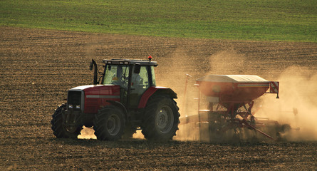 Fototapeta premium Farmer Driving a Tractor on Dusty Plowed Field, applying fertilizer to Soil by a Spreader