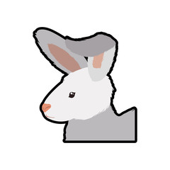 Rabbit animal farm pet character icon. Isolated and flat illustration. Vector graphic