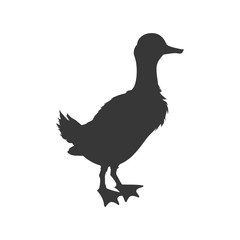 Duck animal farm pet character icon. Isolated and flat illustration. Vector graphic