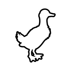 Duck animal farm pet character icon. Isolated and flat illustration. Vector graphic