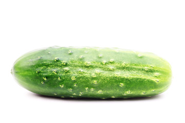 Cucumber isolated on white background
