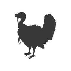 Fototapeta na wymiar Turkey animal farm pet character icon. Isolated and flat illustration. Vector graphic