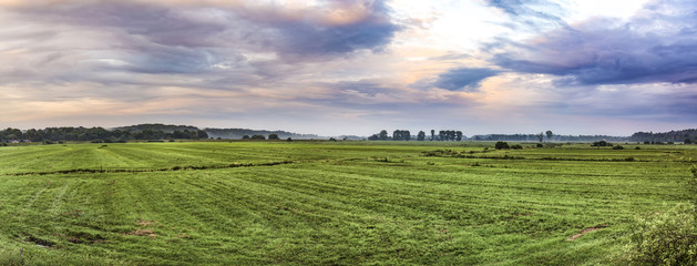 Naklejka premium rural landscape in rain with green meadow
