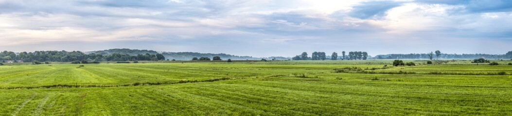 Fototapeta na wymiar rural landscape in rain with green meadow