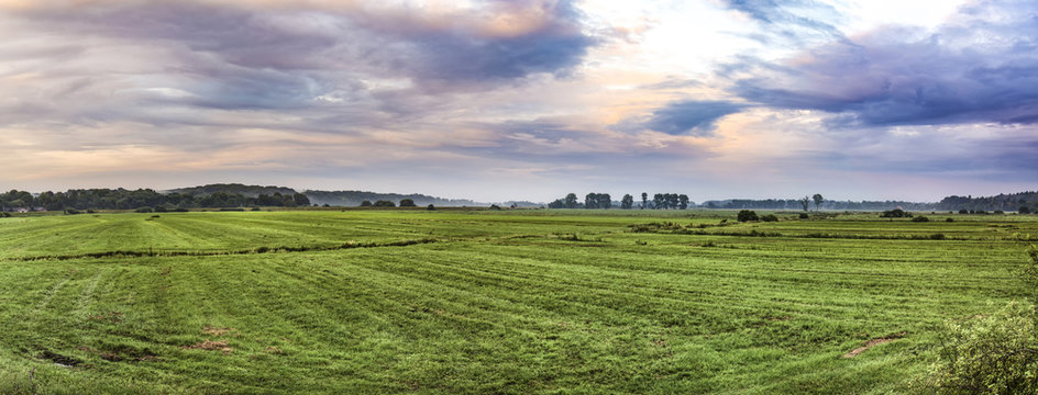 rural landscape in rain  with green meadow