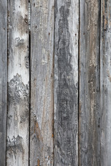 Old wood Background