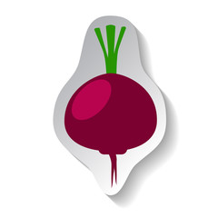 Beet vector icon in flat style with shadow. Vegetable pictogram.