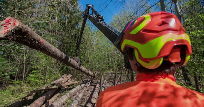 A young logger is navigating an excavator and how it is picking up tree trunks from the ground and then lowering them on a trailor. Close-up shot.
