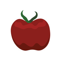 Tomato healthy food organic food market icon. Isolated and flat illustration. Vector graphic