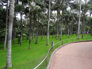 Obraz premium Park