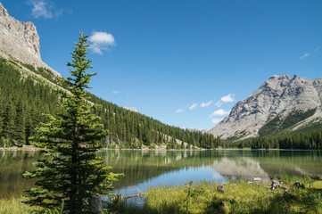 Elbow Lake on a sunny day