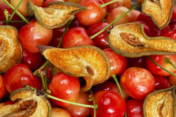 pear dried and sweet cherry