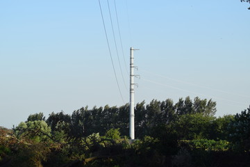 Power line support