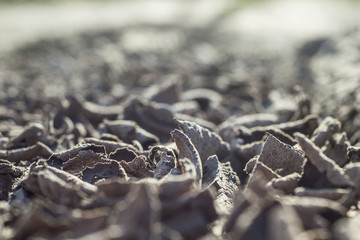 dried earth