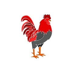 Rooster Vector Illustration in Color