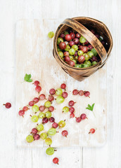 Variety of ripe garden gooseberries in birchbark basket over white painted wooden backdrop, top view, vertical composition