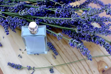 Acrylic kitchen splashbacks Lavender Parfum de lavande