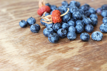blueberries and dry dog rose

