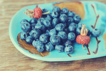 blueberries and dry dog rose

