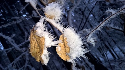 lange spitze Eiskristalle nach einer kalten Winternacht