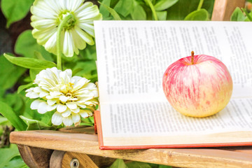 Apple and book on a wooden chair in the garden