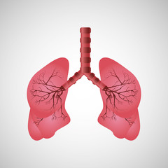 human lung icon