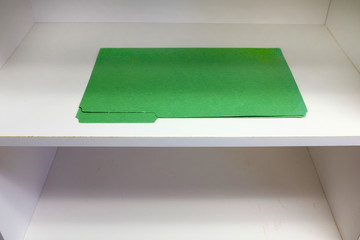 Single Green File on Shelf for Business