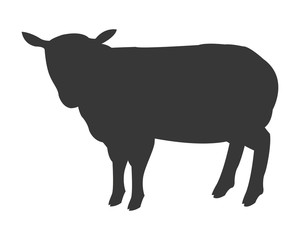 flat design sheep silhouette icon vector illustration