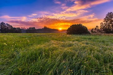 Obraz premium Vibrant summer sunrise over foggy, magical meadow