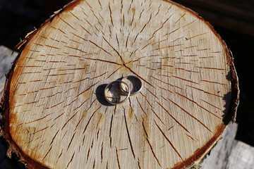 Wedding rings on the cracked stump