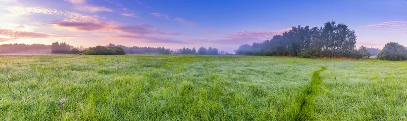 Wanddecoratie Zomer Calm and tranquil place with untouched wild meadow at sunrise  © milosz_g