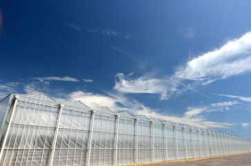 Greenhouses