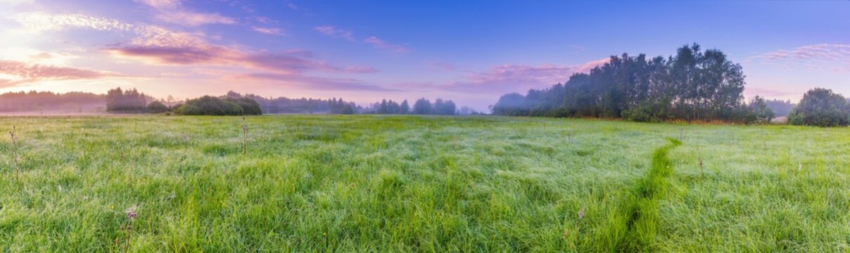 Fototapeta Calm and tranquil place with untouched wild meadow at sunrise