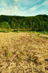 Fototapeta premium Lake with crystal clear water and green forest.