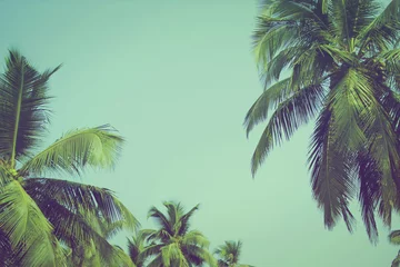 Poster Kokospalmen op tropisch strand vintage filter © Alexandr Bakanov