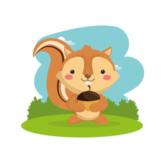 Obraz na płótnie Canvas Woodland animal concept represented by cute squirrel cartoon icon. Colorfull and flat illustration. 