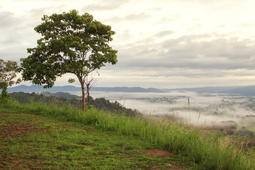 Trees on the hill surrounded by natural beauty during sunrise and sunset at Khao Kho District ,Phetchabun Province in Thailand. Traveling and recreation concept