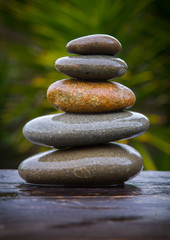  stack of round smooth wet pebbles balanced in front of a yucca