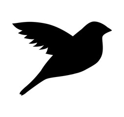 cute bird animal isolated