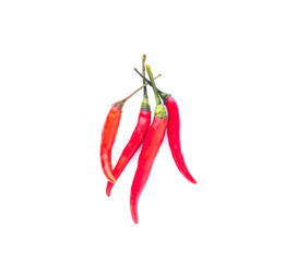 Red chili or chilli cayenne pepper isolated on white background